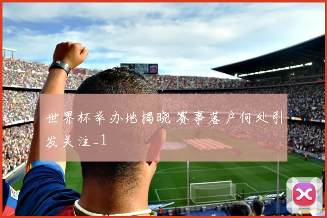 世界杯举办地揭晓 赛事落户何处引发关注_1